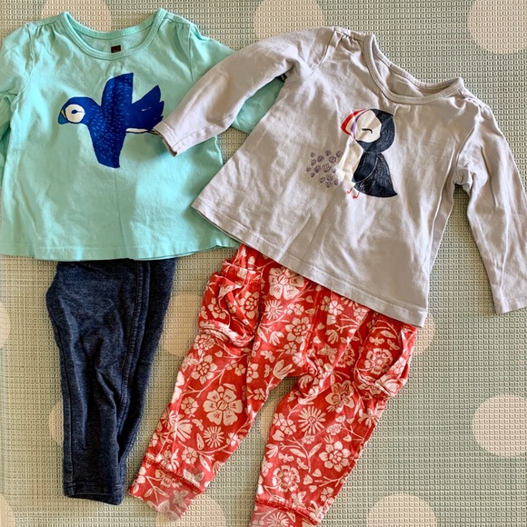 Tea Collection - Picture 1 of 1